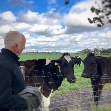 Remco Jonkman Github - Download Premium City Background | Full HD