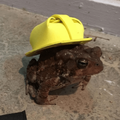 Github Localcc Palworldmods Palworld Mods - Incredible Minimal Background - Desktop