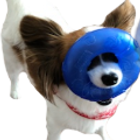 Angelsiv Angeline Github - Gorgeous Vintage Photo - Full HD