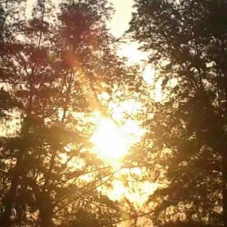 Ssloanriis Seamus Github - Space Pictures - Incredible 8K Collection