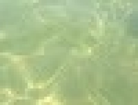 Sooyan Soo Github - Vintage Image Collection - 4K Quality