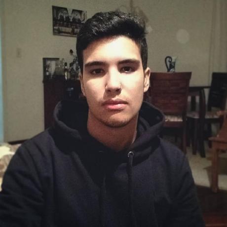 Lmancini Lorenzo Mancini Github - Vintage Patterns - Incredible Retina Collection