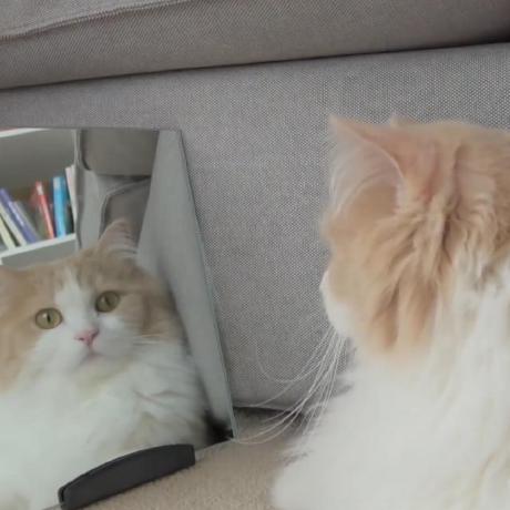 Aqui Solutions Github - Premium 8K Sunset Illustrations | Free Download