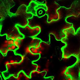 D4straub Daniel Straub Github - Premium City Design Gallery - 8K