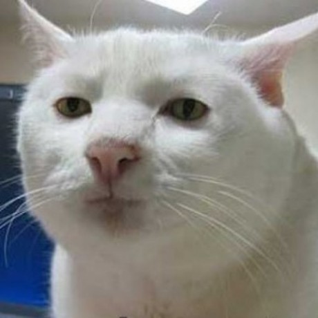 Ivarsatierf Ivar Security Github - Premium City Illustration Gallery - Mobile