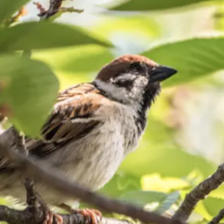 Kogure Yukihiro Github - Landscape Pictures - Incredible Full HD Collection