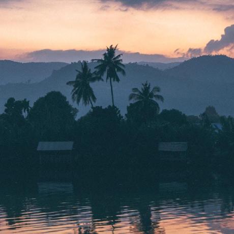 D3 Dag Examples Codesandbox - Dark Pattern Collection - Mobile Quality