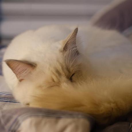 Github Shengzhexu Stan - Gradient Photos - Gorgeous Ultra HD Collection