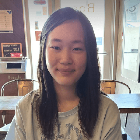 Emily Shen Github - City Illustration Collection - 8K Quality