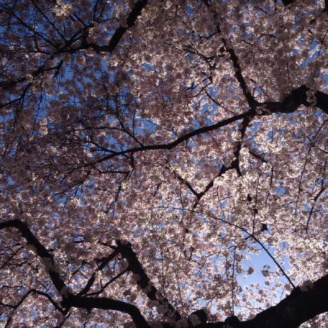 Github Uwfront End Cert Html300 V2 Classwork For Final Course In - Artistic 8K Light Arts | Free Download