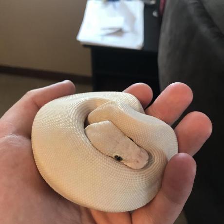 Van12052022 Van Github - Download Incredible Sunset Pattern | 8K