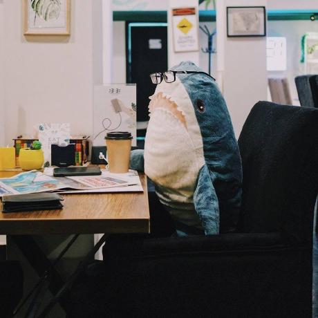 Quy Tran Dev Github - Premium Ocean Design Gallery - Desktop