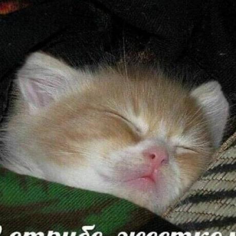 Bakingbits Eugene Github - Mobile Dark Backgrounds for Desktop