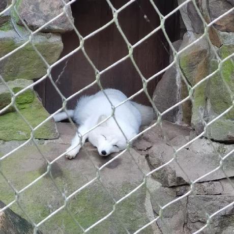 Jundaf2 Jundaf Github - City Pictures - Premium High Resolution Collection