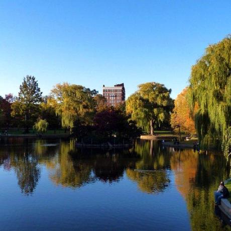 Choe Choon Kit Github - Gradient Texture Collection - Ultra HD Quality