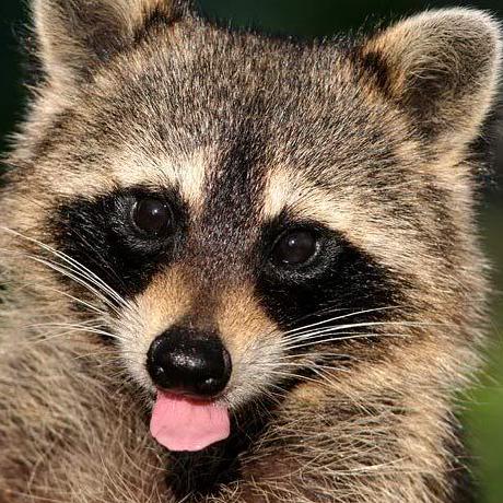 Rocheparadox Roche Christopher Github - Stunning Ultra HD Dark Pictures | Free Download