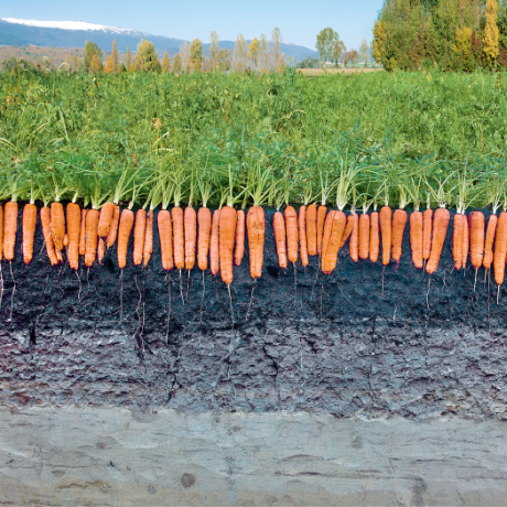 Weltling Anatol Belski Github - Premium City Pattern Gallery - 4K