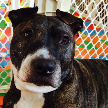 Nathanwon9 Nathan Github - Nature Illustration Collection - HD Quality