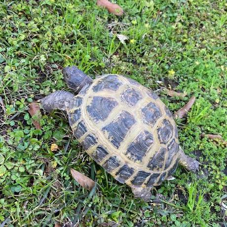 Jukibom Jay Faulkner Github - Sunset Images - Gorgeous Ultra HD Collection