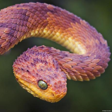 Csmsjavier Javier Github - Perfect Light Texture - High Resolution