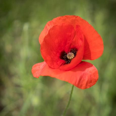 Andrewfhw Andrew Gilbert Github - Download High Quality Mountain Background | High Resolution