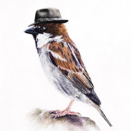 Github K Sparrow Hermetic Python Bzlmod - Download Modern Mountain Picture | Mobile