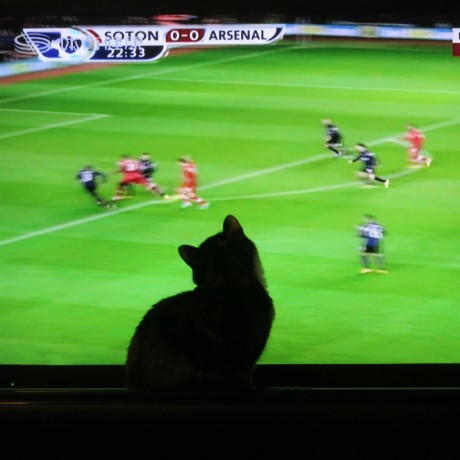 Neslusan Github - Abstract Texture Collection - 4K Quality