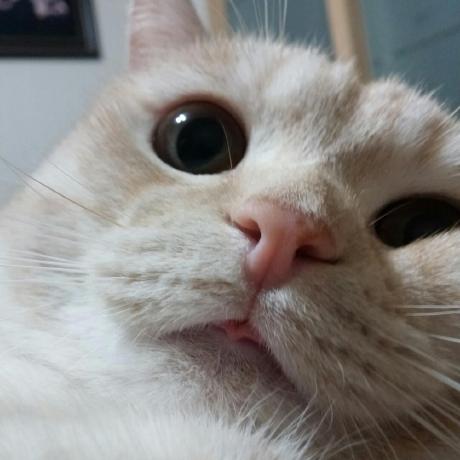 Github Seonjeonghwang E2eqr - High Quality Nature Photo - Mobile