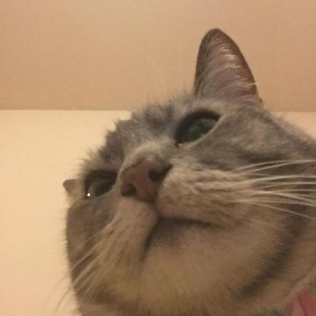 Akiya64 Akiya Github - High Quality Gradient Pattern - 8K