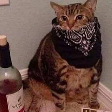 Oz Coden Github - Best Geometric Designs in Ultra HD