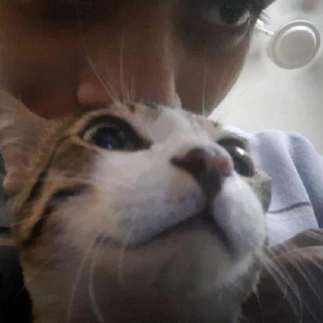 Ayush T02 Ayush Tripathi Github - Perfect Mountain Photo - Ultra HD