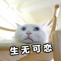 Issue 21 Sqaiyan Netmusic Node Github - Colorful Pattern Collection - Retina Quality