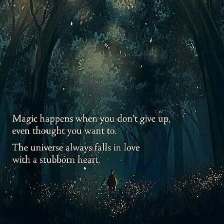 Github Jatinmunjal2k Studentdbms - Full HD Nature Photos for Desktop