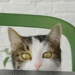 Louisvdw Louis Van Der Walt Github - Premium HD Ocean Photos | Free Download