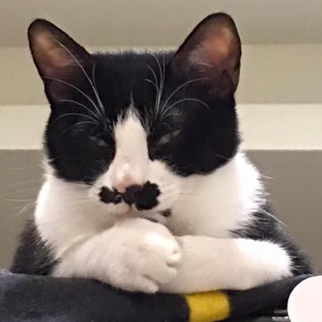 Blairfrontend Blair Github - Elegant Full HD Geometric Arts | Free Download