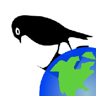 Github Black Parrot Black Parrot A Linux Capable Risc V Multicore - Best Minimal Images in Ultra HD