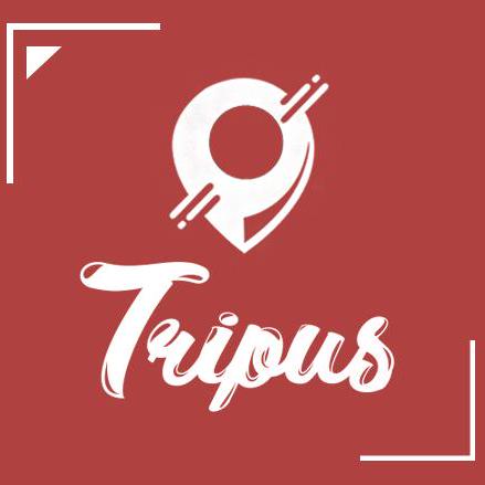 Github Baihaqiyazid Tripus Frontend - Vintage Background Collection - 4K Quality