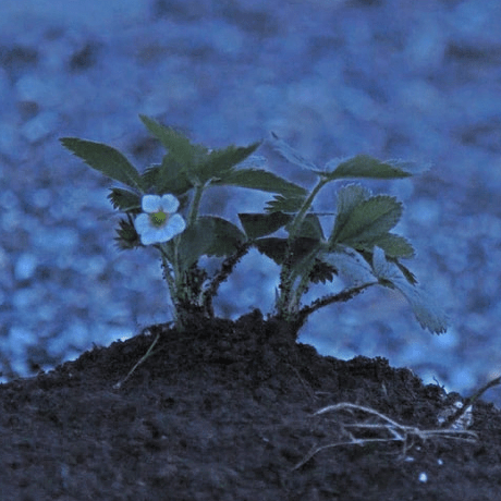 Github Blueamulet Oc Example Architecture - Ultra HD Sunset Backgrounds for Desktop