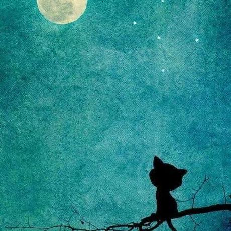 Cokoone Linsir Github - Best Landscape Photos in High Resolution