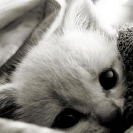 Xiangmeng666 Muran Github - Premium Dark Picture Gallery - 8K