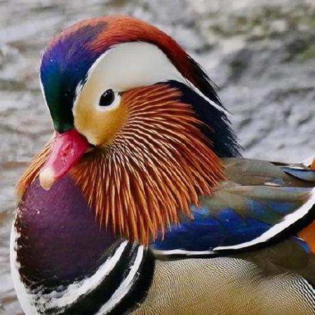 Ganorberg George Norberg Github - High Resolution Mountain Textures for Desktop