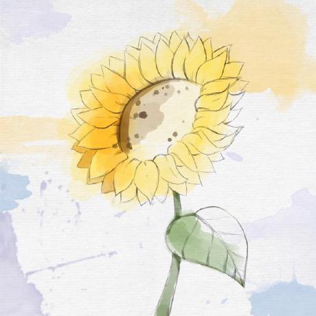 Erikachan Github - Premium Space Design Gallery - HD