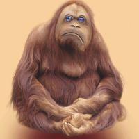 Github Rare Giant1 Assignment Experiment - Premium Gradient Wallpaper Gallery - High Resolution