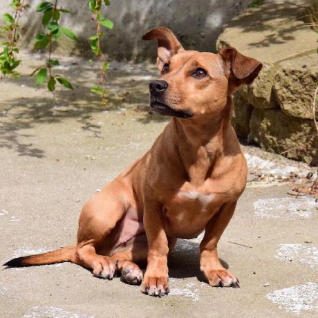 A Feld Allan Feldman Github - Mobile Mountain Designs for Desktop