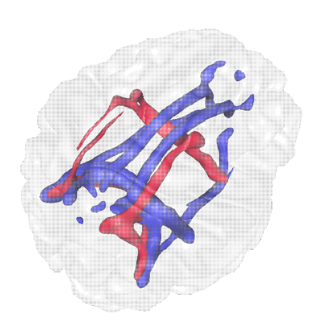 Neuroscience Of Cognition Lab Github