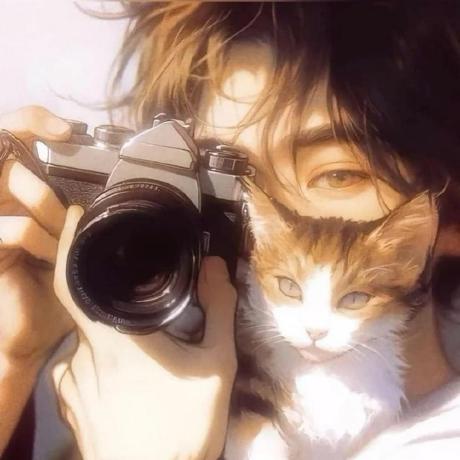 Codekriss Kristian Github - Best Sunset Photos in 8K