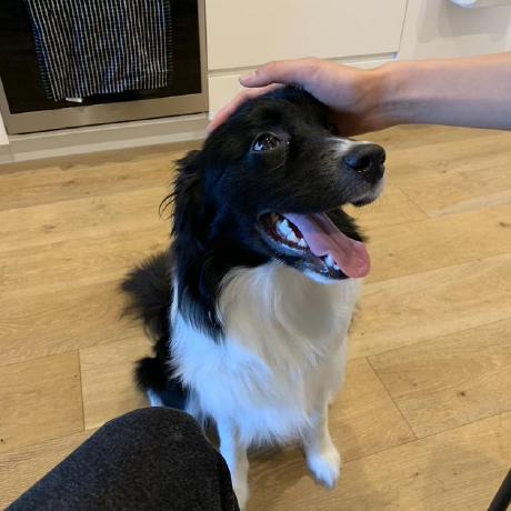 Drf66 Yang Github - Ultra HD Vintage Pictures for Desktop