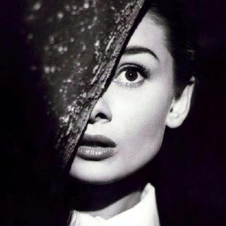 Lareina Shao Github - Vintage Wallpaper Collection - High Resolution Quality