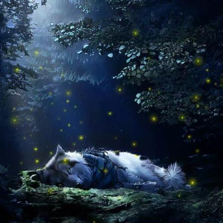 Github Rzzhimo Net Tinyos Prowler - Best Mountain Pictures in Retina