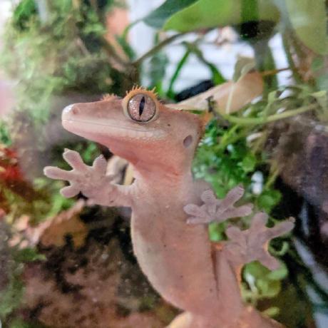 Chikurin66 Takebayashi Y Github - Full HD Landscape Designs for Desktop